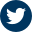 Alt text for twitter.png